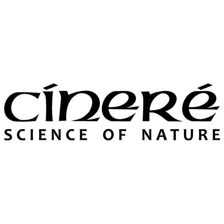 معرفی و بررسی برند سینره – Cinere